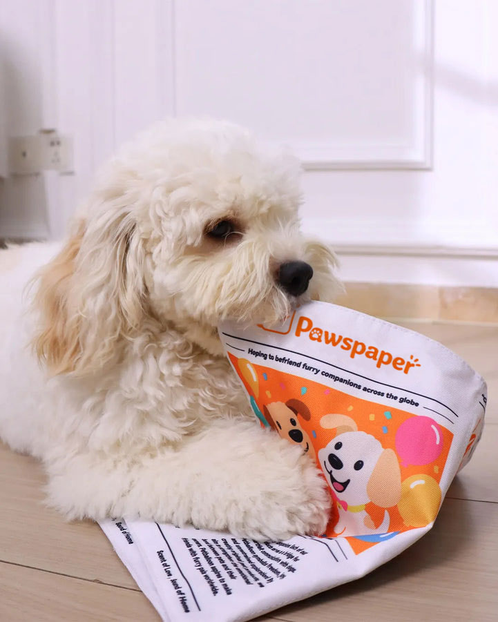 🔥3-Pack Bundle🔥Crinkle Newspaper Dog Toy for Boredom Relief, Interactive Chew Toy for Dogs