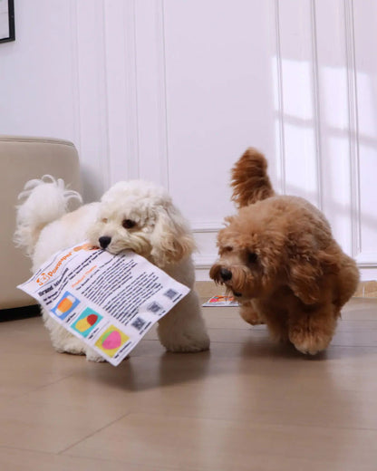 🔥3-Pack Bundle🔥Crinkle Newspaper Dog Toy for Boredom Relief, Interactive Chew Toy for Dogs