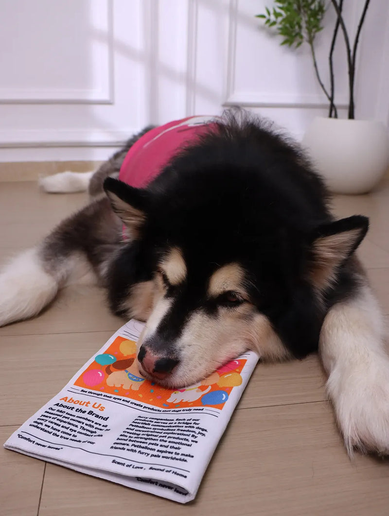 🔥3-Pack Bundle🔥Crinkle Newspaper Dog Toy for Boredom Relief, Interactive Chew Toy for Dogs