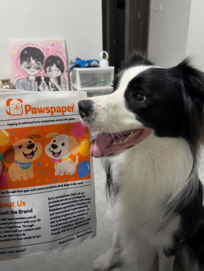 🔥3-Pack Bundle🔥Crinkle Newspaper Dog Toy for Boredom Relief, Interactive Chew Toy for Dogs