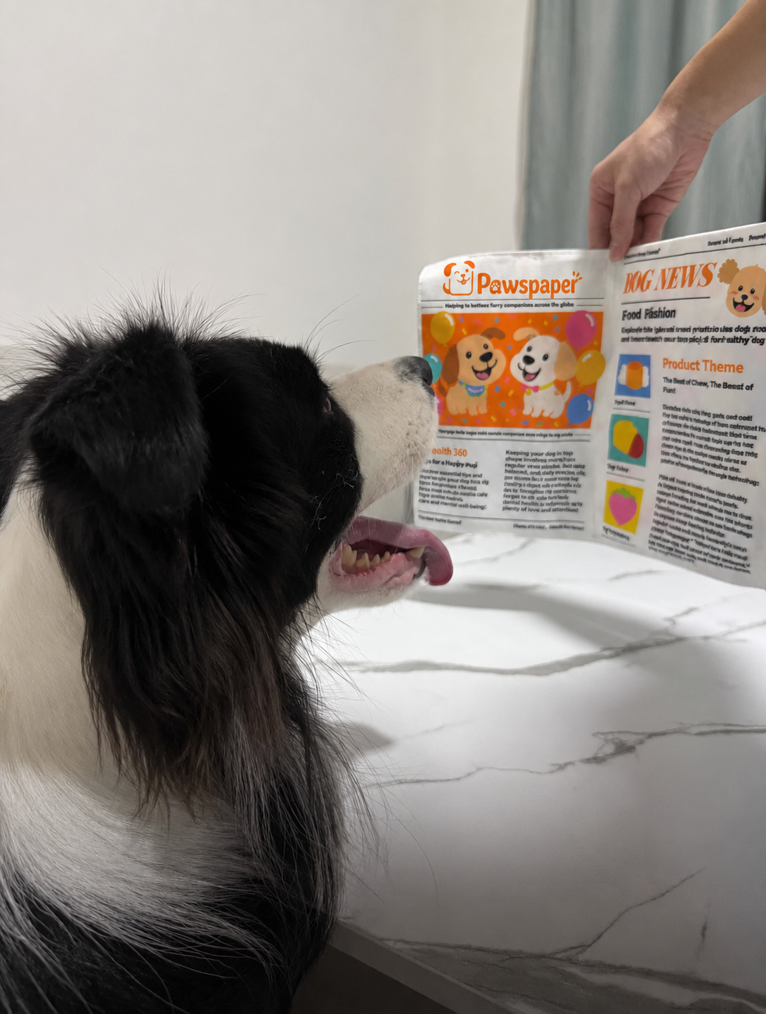 🔥3-Pack Bundle🔥Crinkle Newspaper Dog Toy for Boredom Relief, Interactive Chew Toy for Dogs